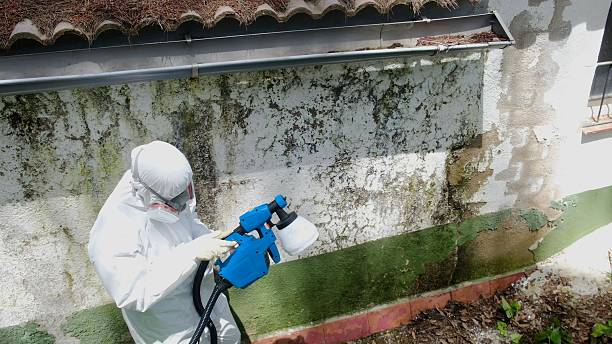 Trusted Commercial Mold Remediation service in Alpharetta, GA - Cheap Mold Removal
